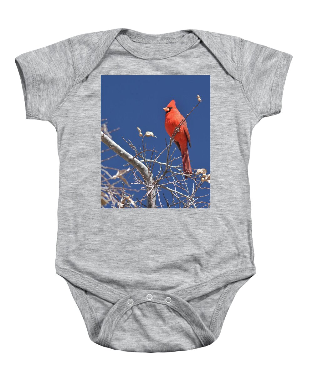 Northern Baby Onesie featuring the photograph Northern Cardinal 1185-030518-1cr by Tam Ryan