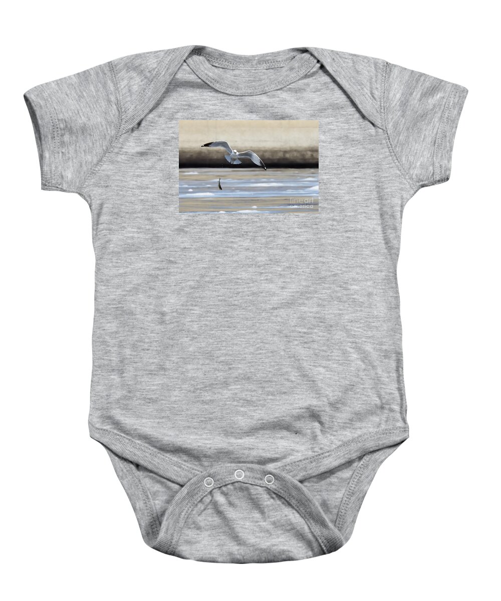 Seagull Sea Full Bird Fish Fishing Nature Wildlife Baby Onesie featuring the photograph Not Quite 2777 by Ken DePue