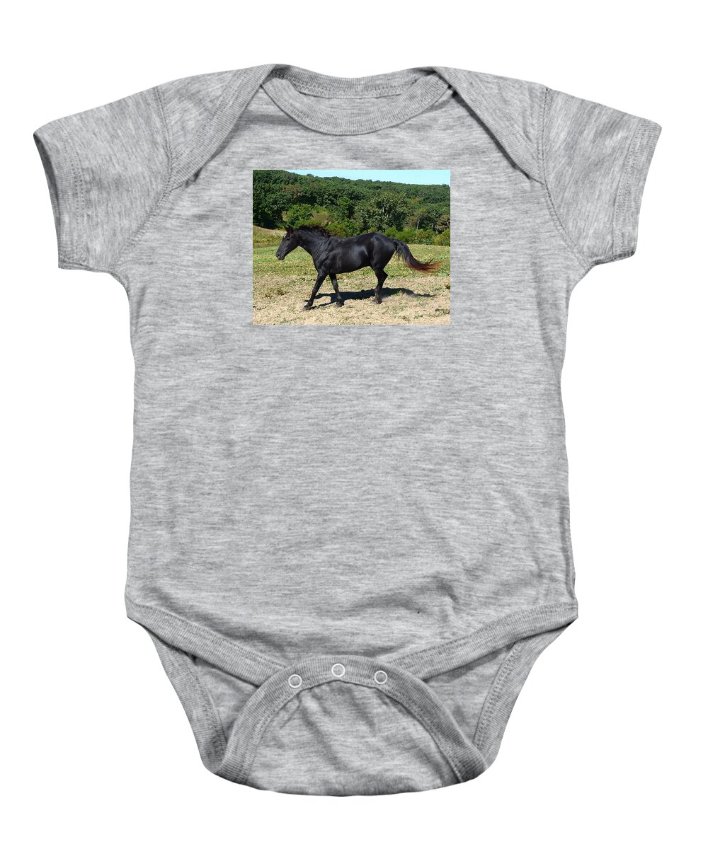 Old Horse 25 Years Old Baby Onesie featuring the digital art Old Black Horse Running by Jana Russon