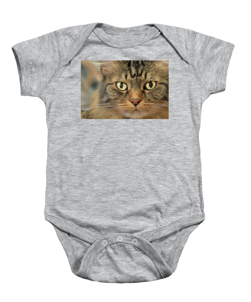 Kitty Baby Onesie featuring the photograph On The Prowl by Jennifer Grossnickle