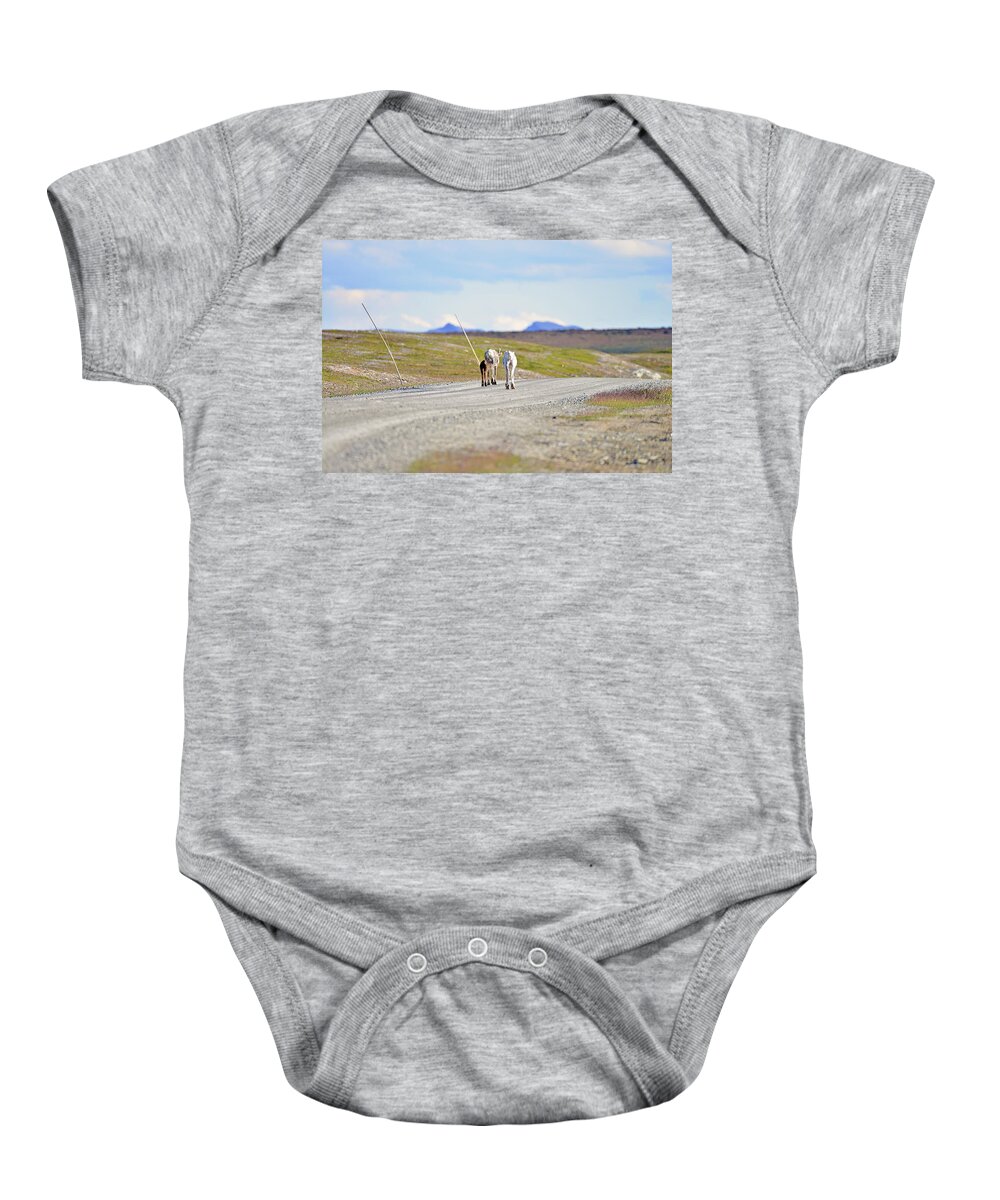 Sweden Baby Onesie featuring the pyrography On the way by Magnus Haellquist