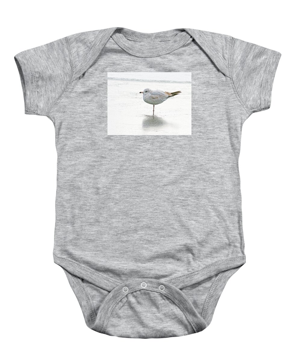 Gull Baby Onesie featuring the photograph One Leg is Better than Two..... by Jim Zablotny