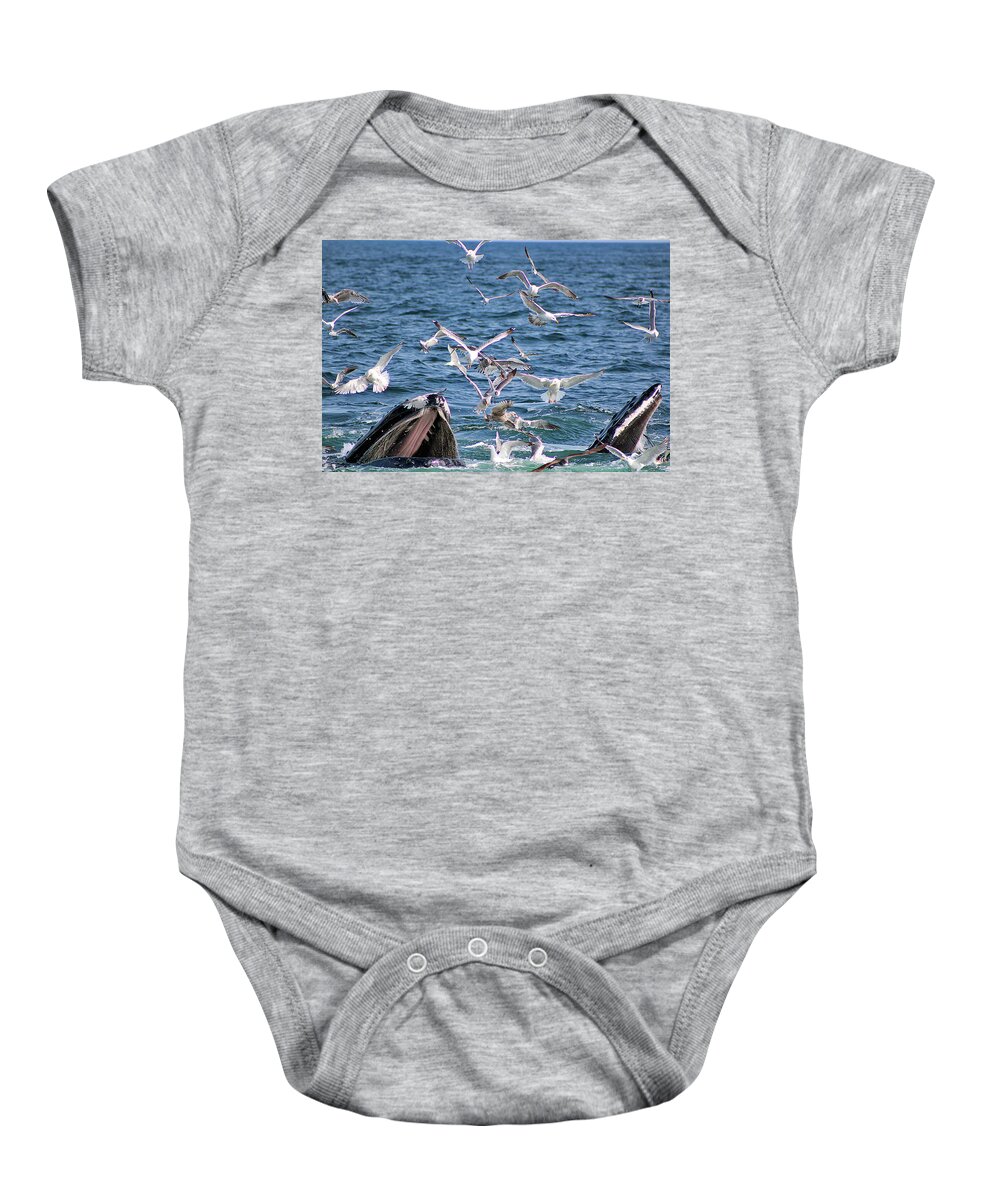 Open Mouth Feeding Baby Onesie featuring the photograph Open Mouth Feeding by Linda Sannuti