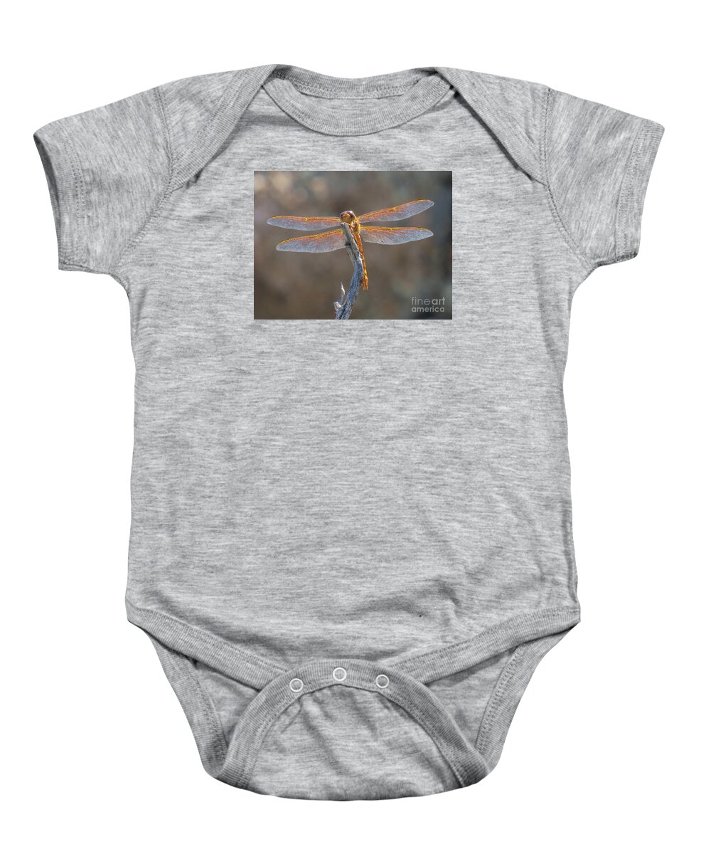 Nature Baby Onesie featuring the photograph Dragonfly 3 by Christy Garavetto