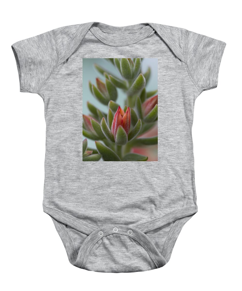 Succulent Baby Onesie featuring the photograph Orange Succulent Blossom Macro by Kathy Clark