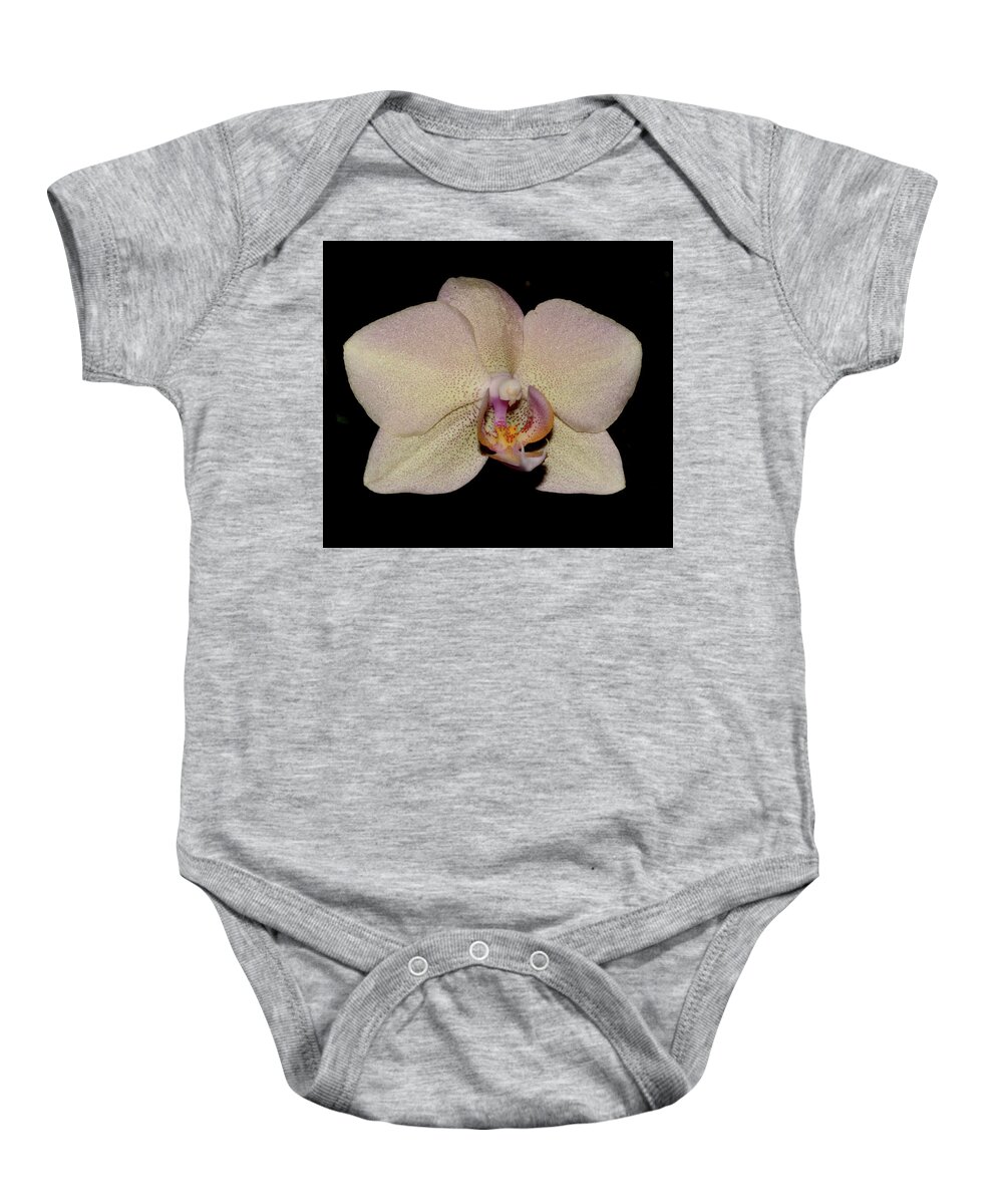 Nature Baby Onesie featuring the photograph Orchid 2016 2 by Robert Morin