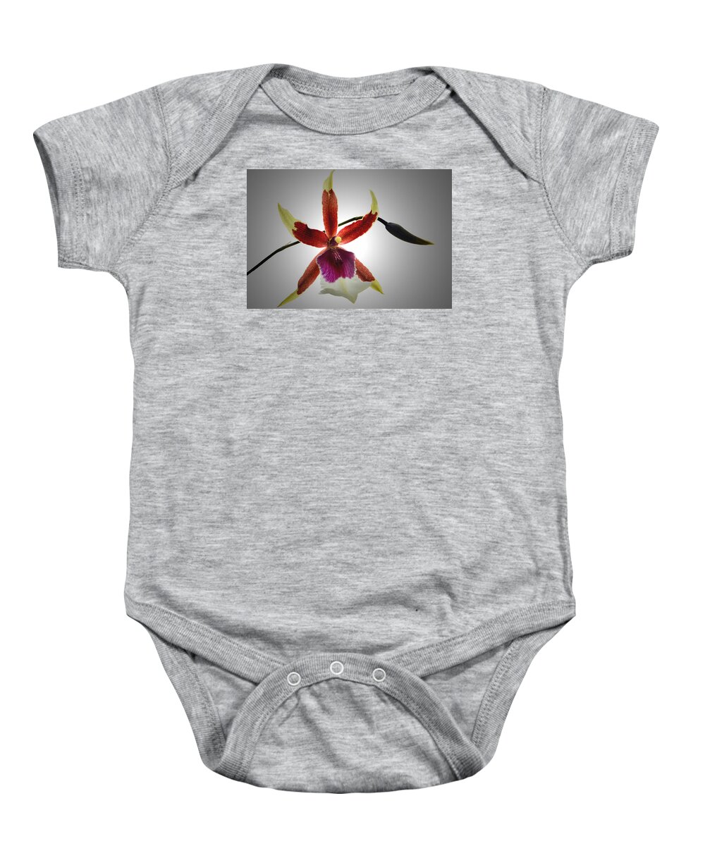 Orchid Baby Onesie featuring the photograph Orchid Cambria. by Terence Davis