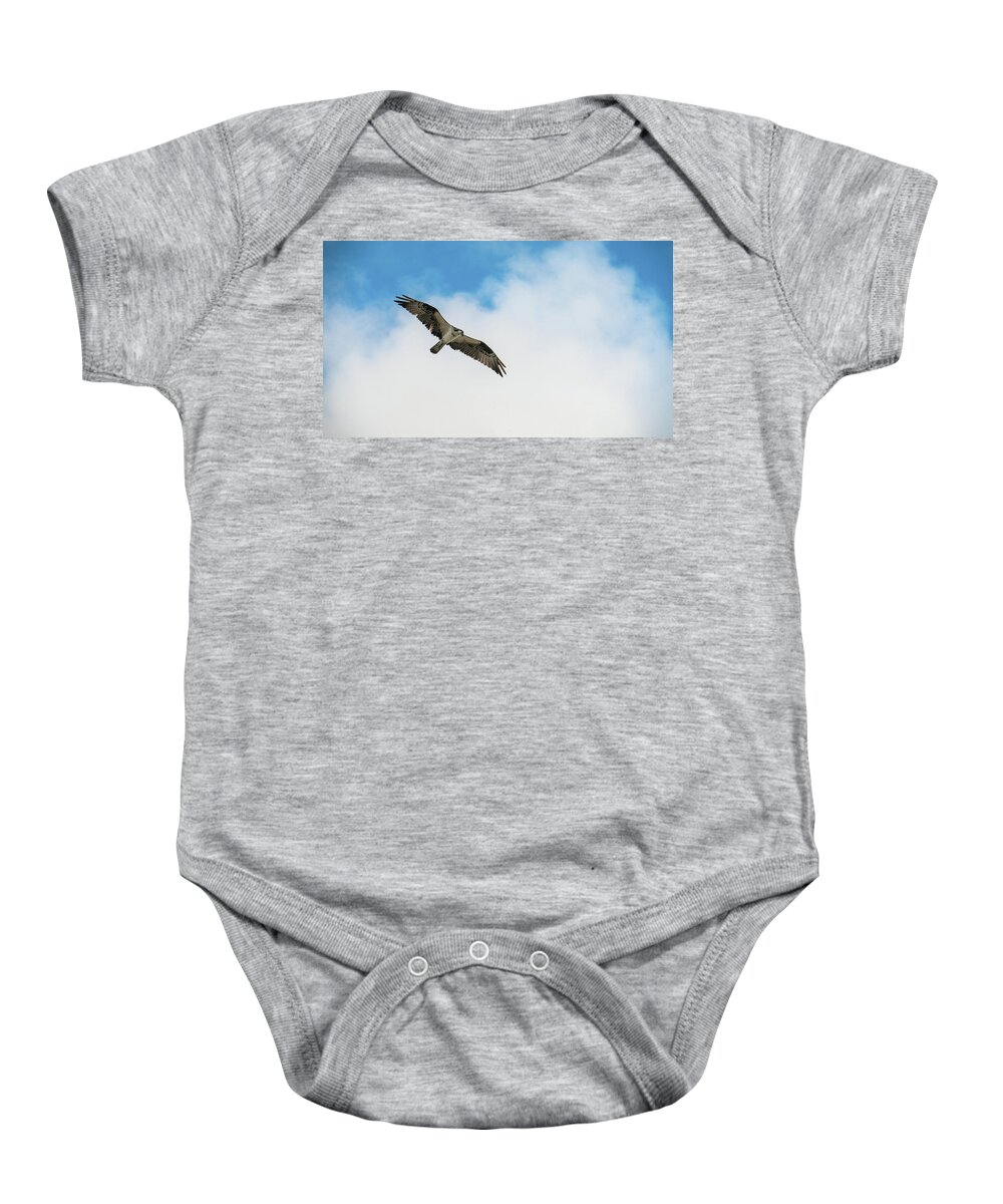 Florida Baby Onesie featuring the photograph Osprey Soars Delray Beach Florida by Lawrence S Richardson Jr