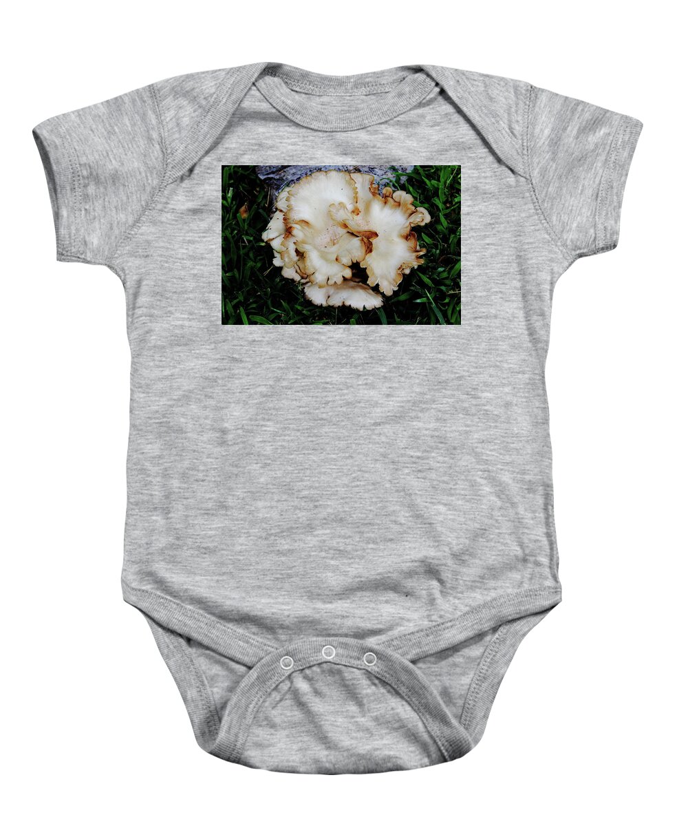  Oyster Mushroom Baby Onesie featuring the photograph Oyster Mushroom by Allen Nice-Webb