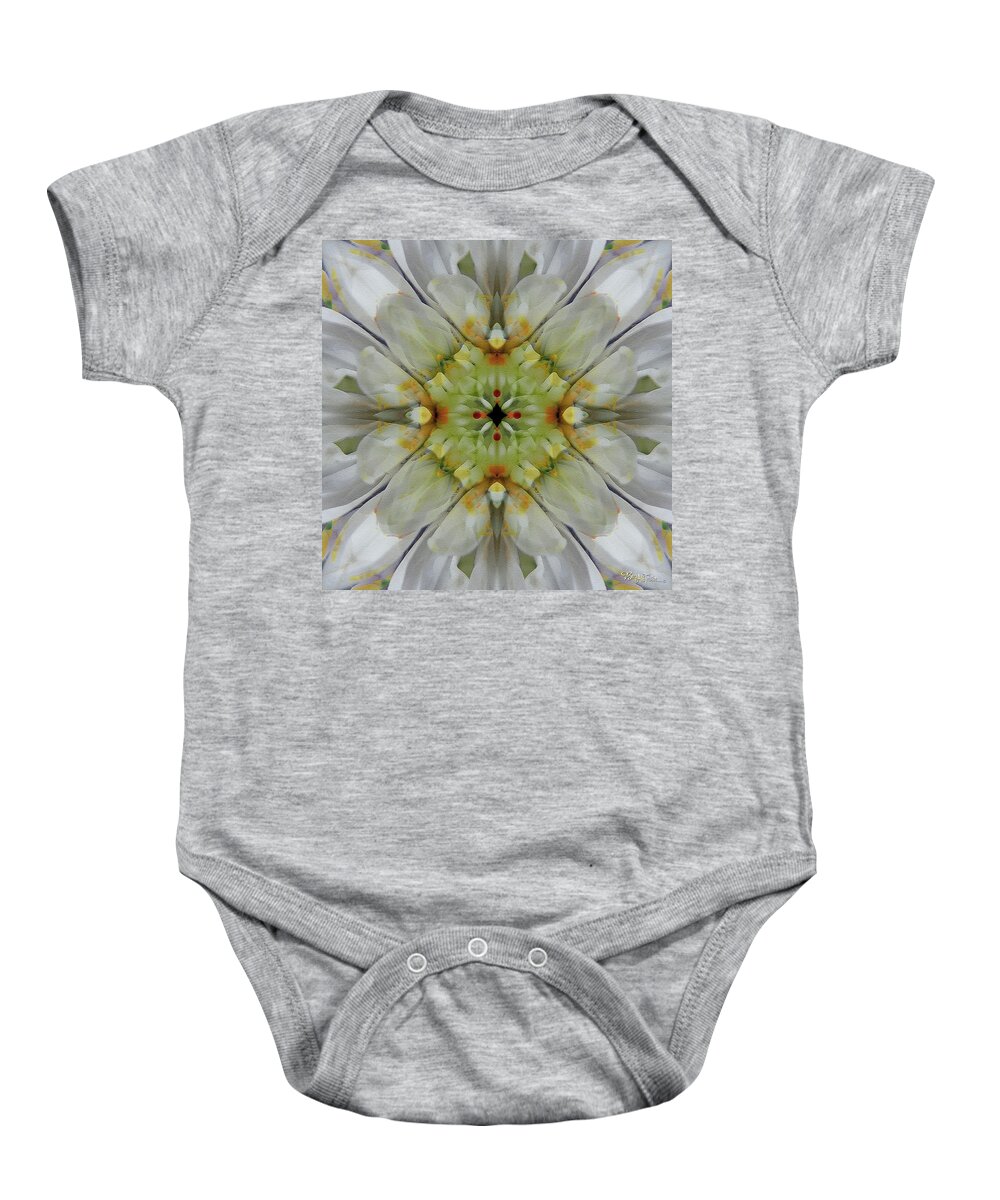 Flowers Baby Onesie featuring the photograph Painted Flowers #6253_4 by Barbara Tristan