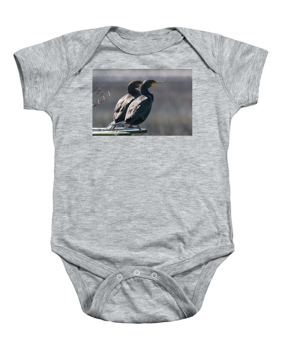 Double-crested Cormorant Baby Onesie featuring the photograph Pair Double-Crested Cormorant 3 March 2018 by D K Wall