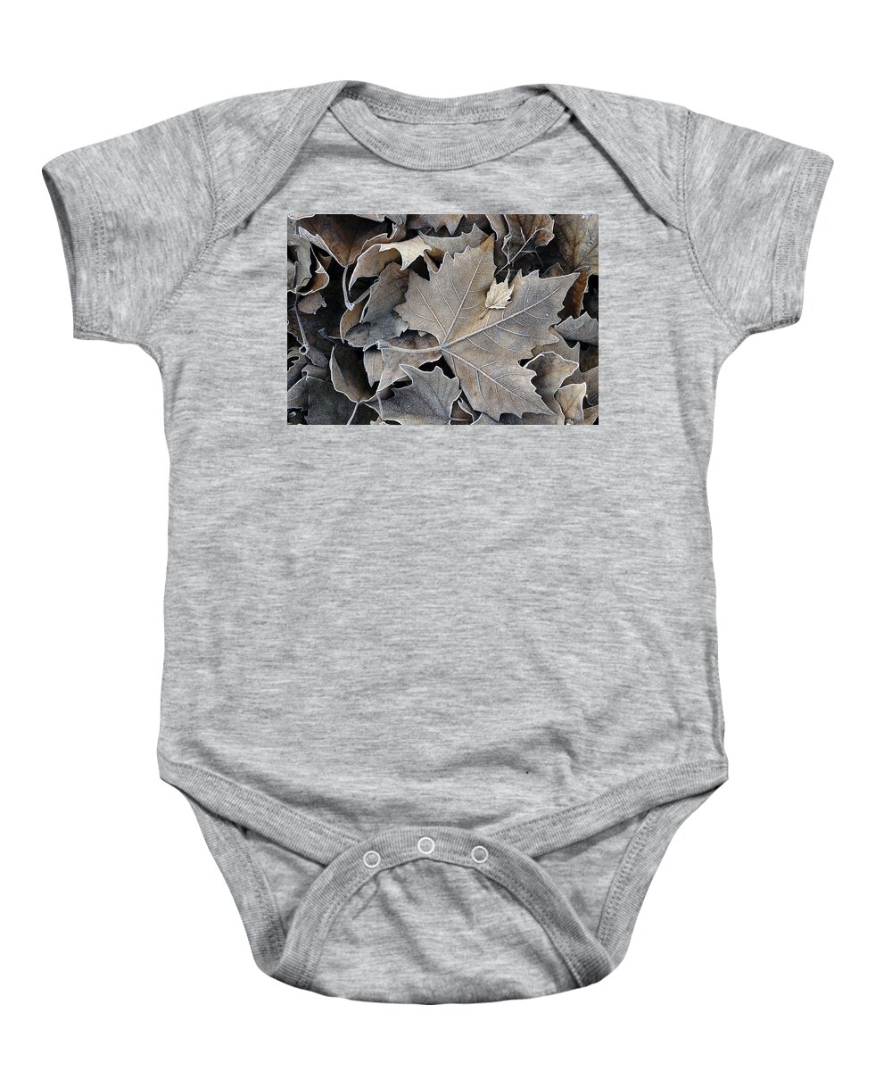 Maple Baby Onesie featuring the photograph Parental by DArcy Evans