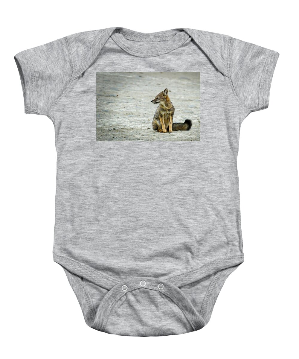 Argentina Baby Onesie featuring the photograph Patagonia Fox - Argentina by Stuart Litoff
