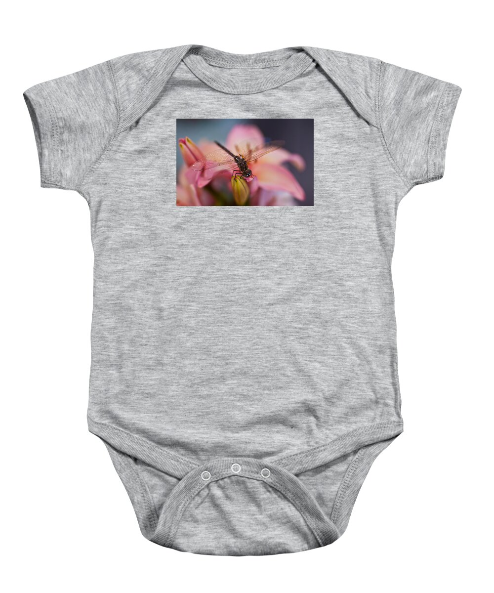 Dragonfly Baby Onesie featuring the photograph Peaceful Landing by Mike Reid