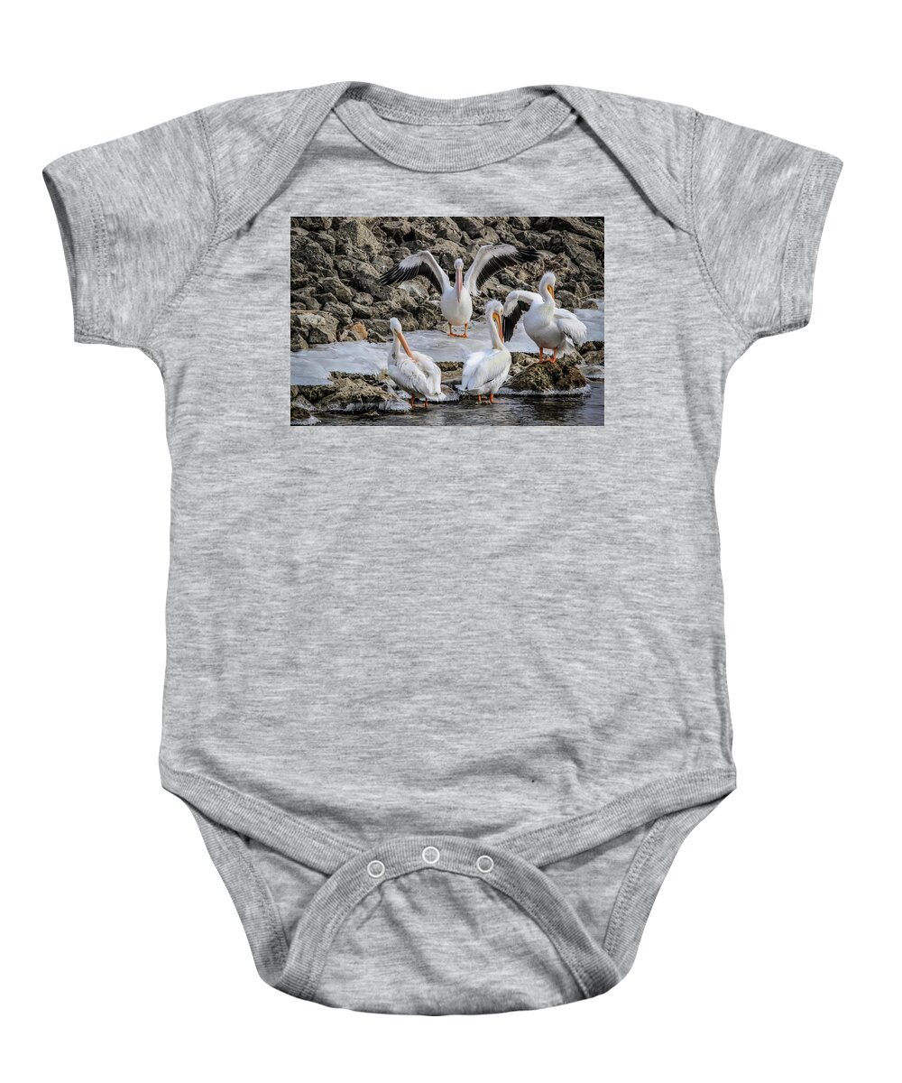 Pelicans Baby Onesie featuring the photograph Pelican Conducting by Ray Congrove