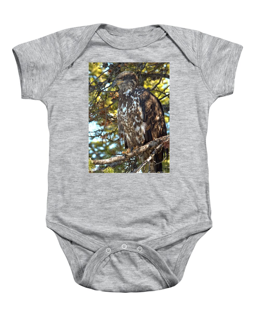 Golden Eagle Baby Onesie featuring the photograph Perched And Camouflaged by Adam Jewell