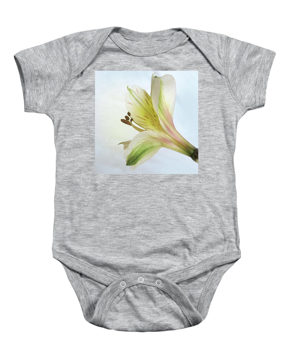 Alstroemeria Baby Onesie featuring the photograph Peruvian Lily From Behind by David and Carol Kelly