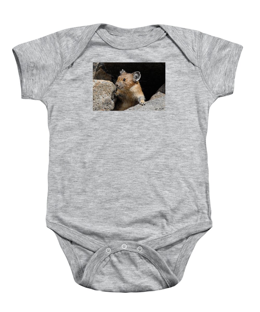 Animal Baby Onesie featuring the photograph Pika Looking out from its Burrow by Jeff Goulden