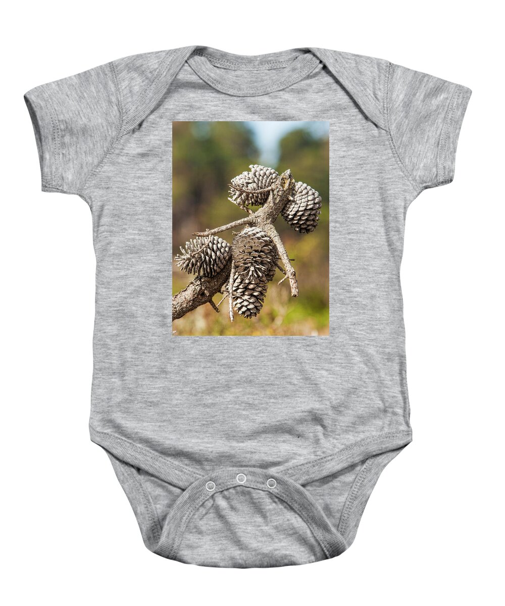 Pine Baby Onesie featuring the photograph Pine cones unite by Jason Hughes