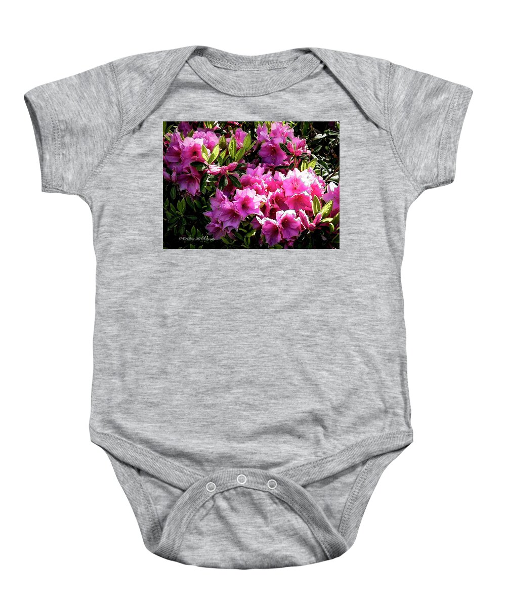 Flowers Baby Onesie featuring the photograph Pink Azaleas by Ed Stines