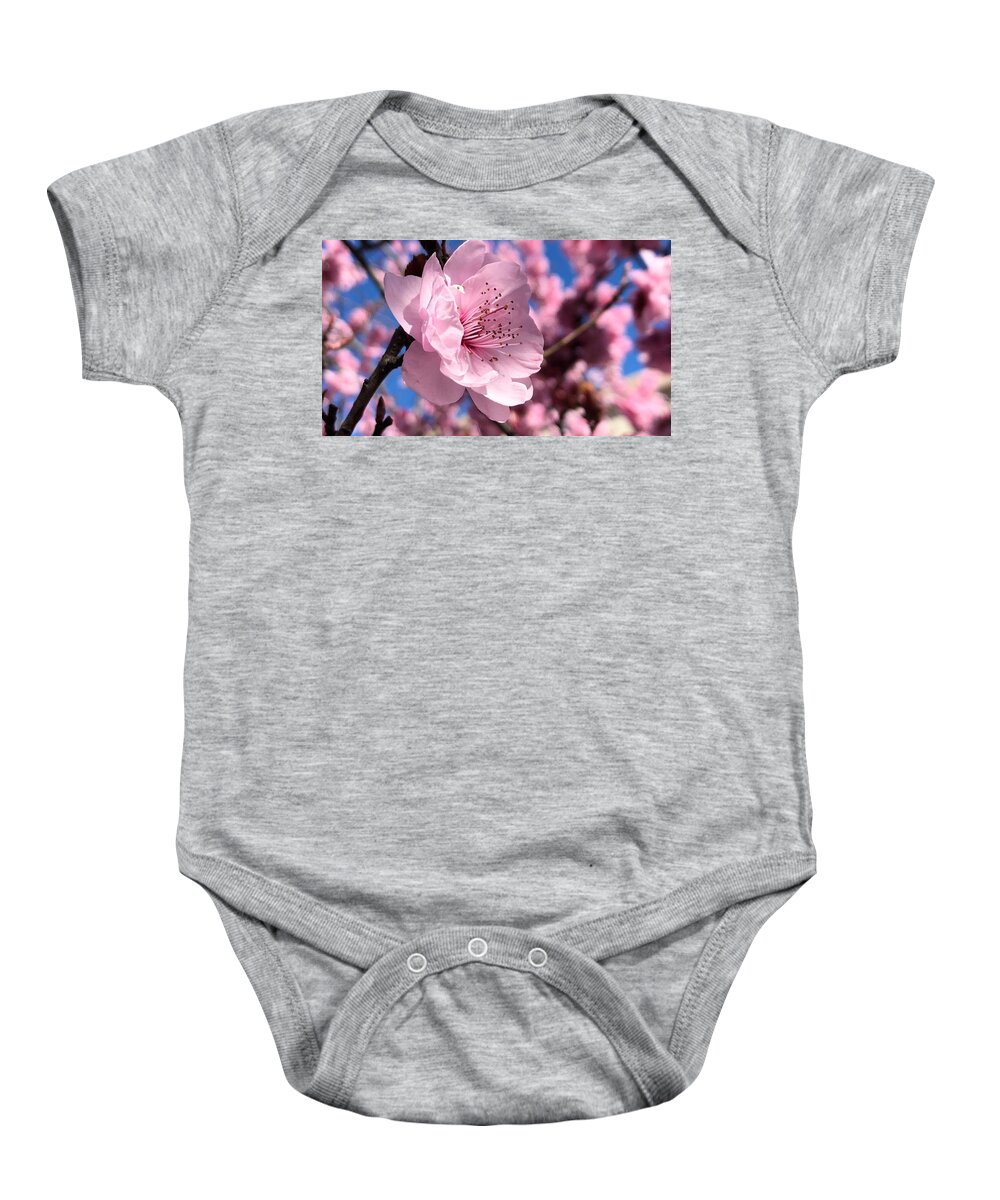 Pink Baby Onesie featuring the photograph Pink Blossom by Steph Gabler