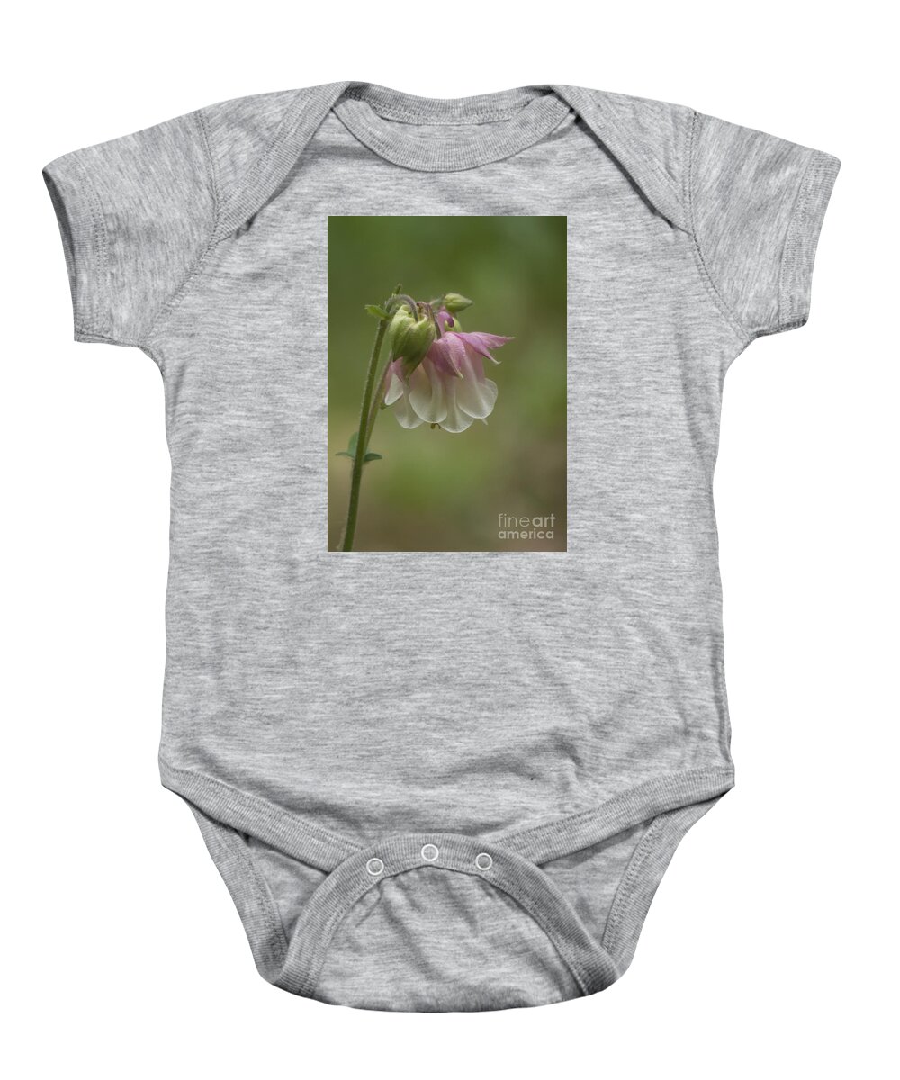 Flowers Baby Onesie featuring the photograph Pink Columbine 2015 by Lili Feinstein