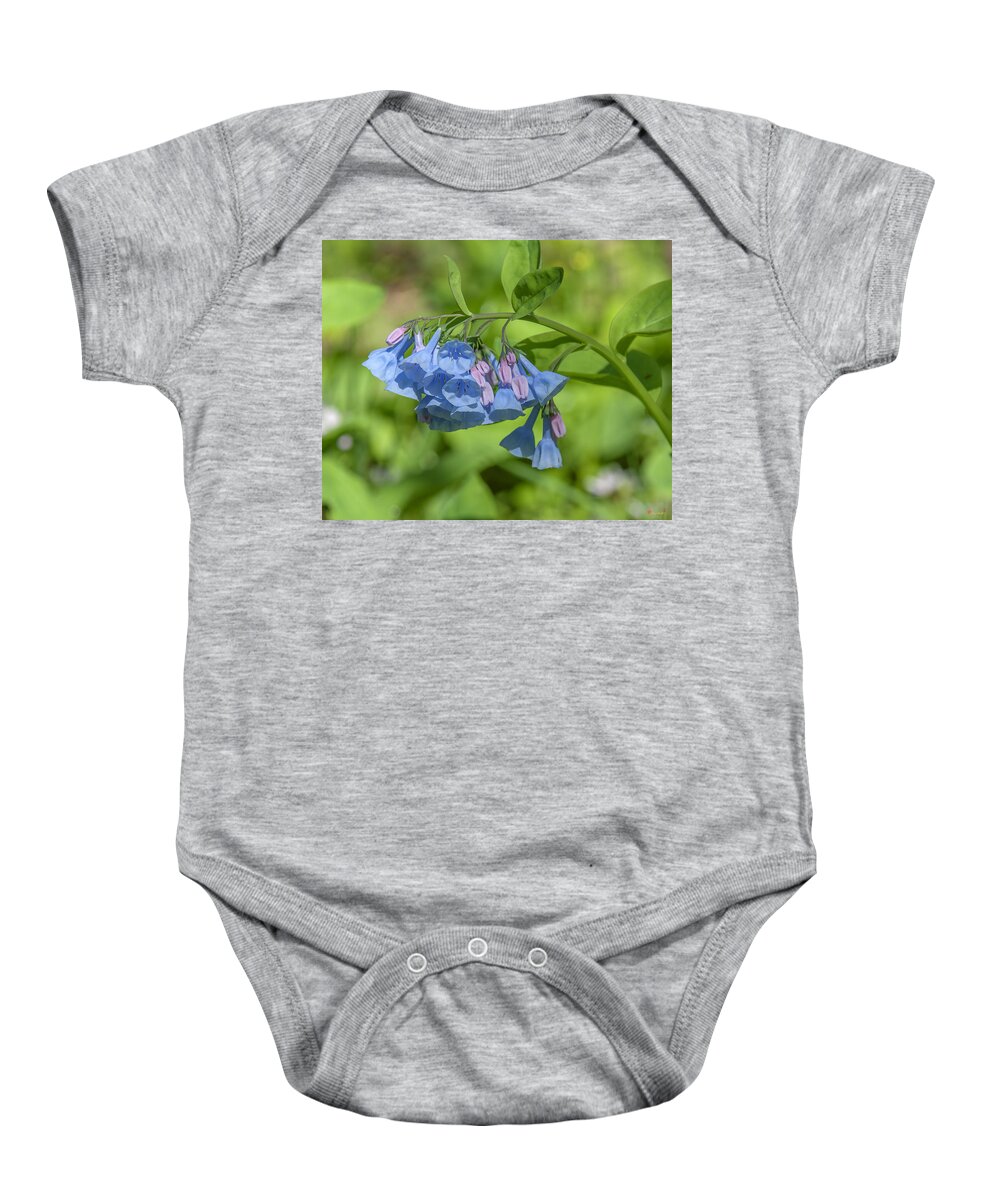Nature Baby Onesie featuring the photograph Pink Virginia Bluebells or Virginia Cowslip DSPF0334 by Gerry Gantt