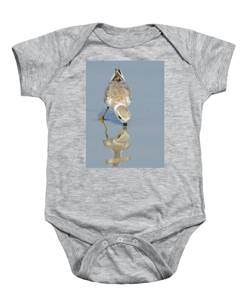 Piping Plover Baby Onesie featuring the photograph Piping Plover with Reflection by Bradford Martin