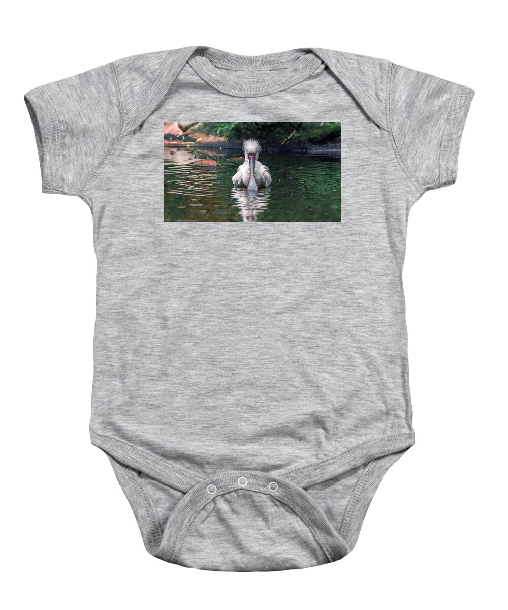 Adult Baby Onesie featuring the photograph Platalea alba by Traveler's Pics