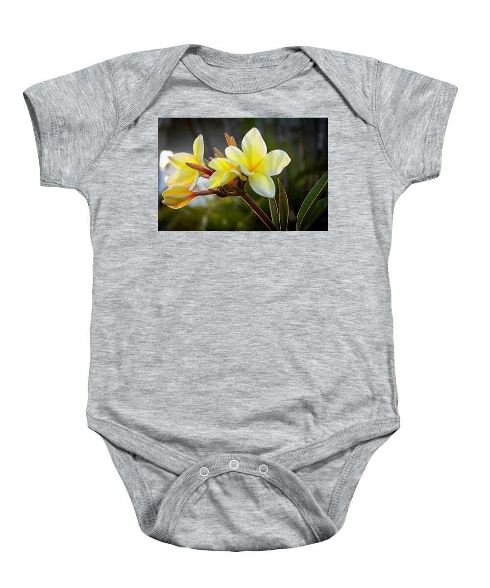 Flower Baby Onesie featuring the photograph Plumeria by Terri Hart-Ellis