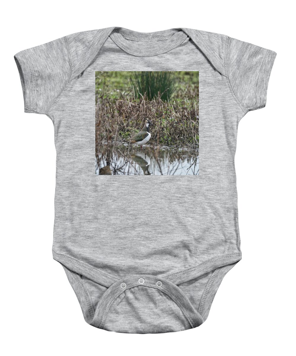 Bird Baby Onesie featuring the photograph Portrait of beautiful Lapwing bird seen through reeds on side of by Matthew Gibson