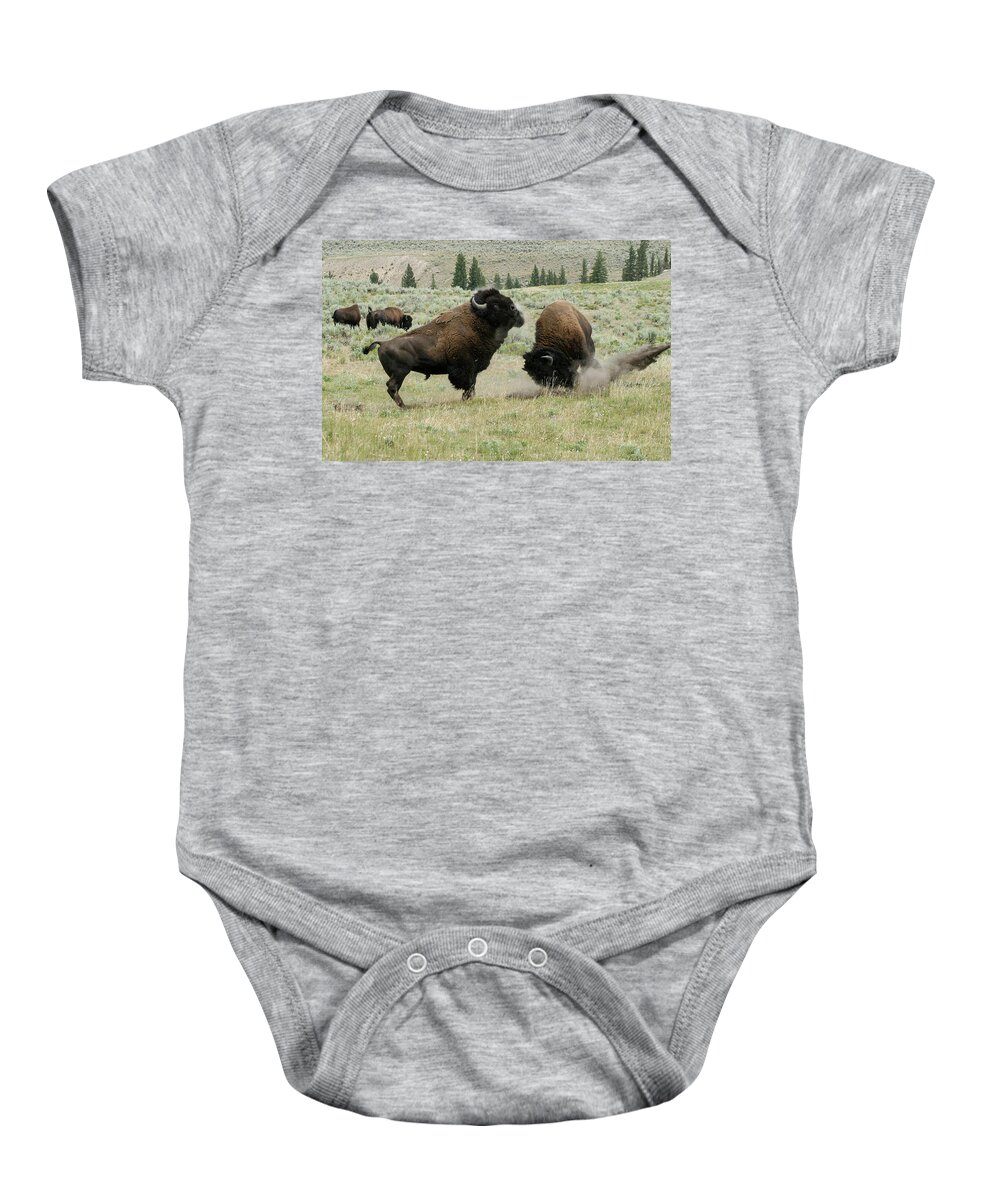 Bison Baby Onesie featuring the photograph Preparing for Battle by Ronnie And Frances Howard