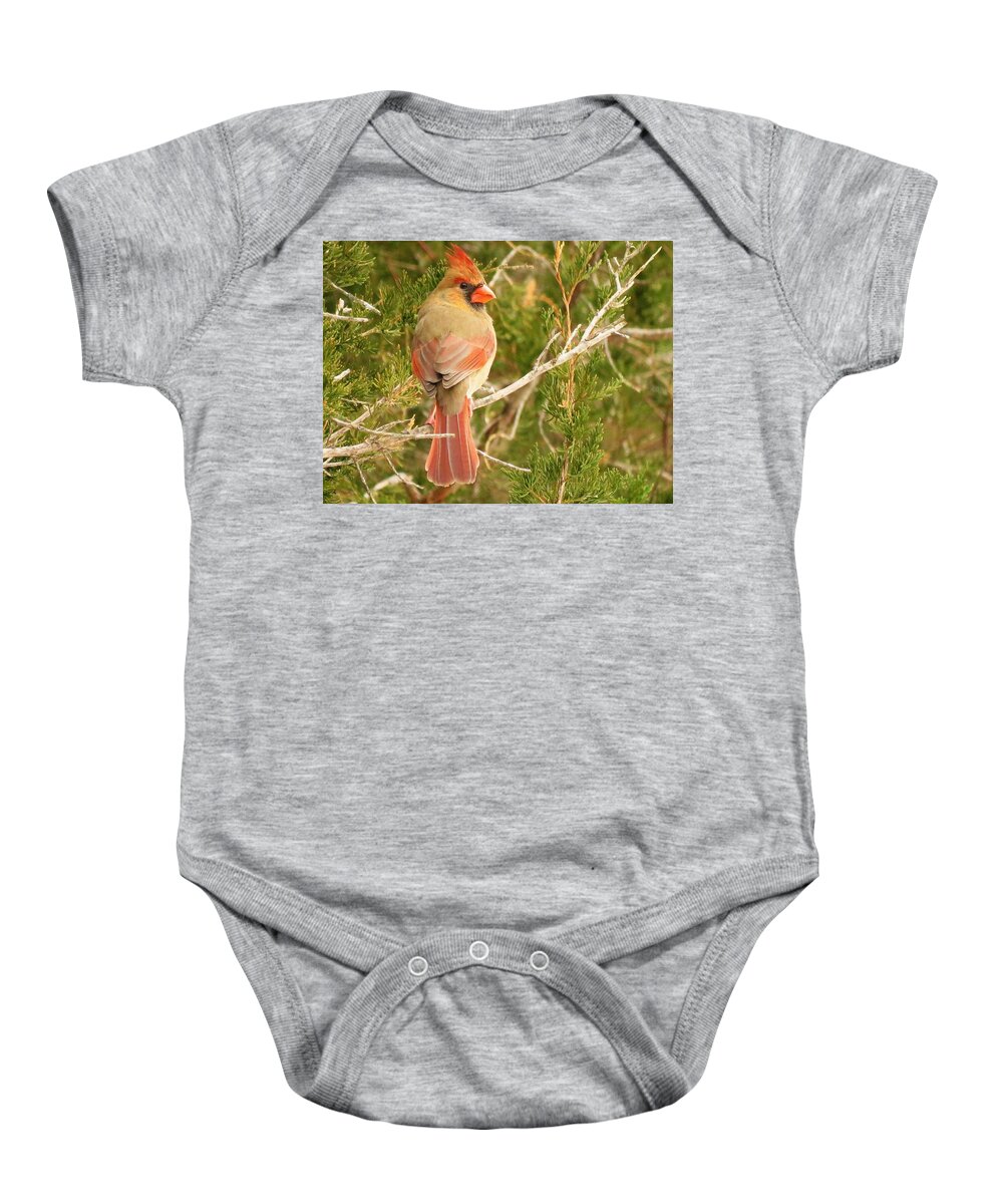 Cardinals Baby Onesie featuring the photograph Pretty As A Picture by Lori Frisch