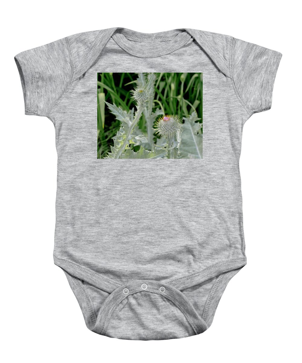 Flowers Baby Onesie featuring the photograph Prickly Meet Up. by Elena Perelman