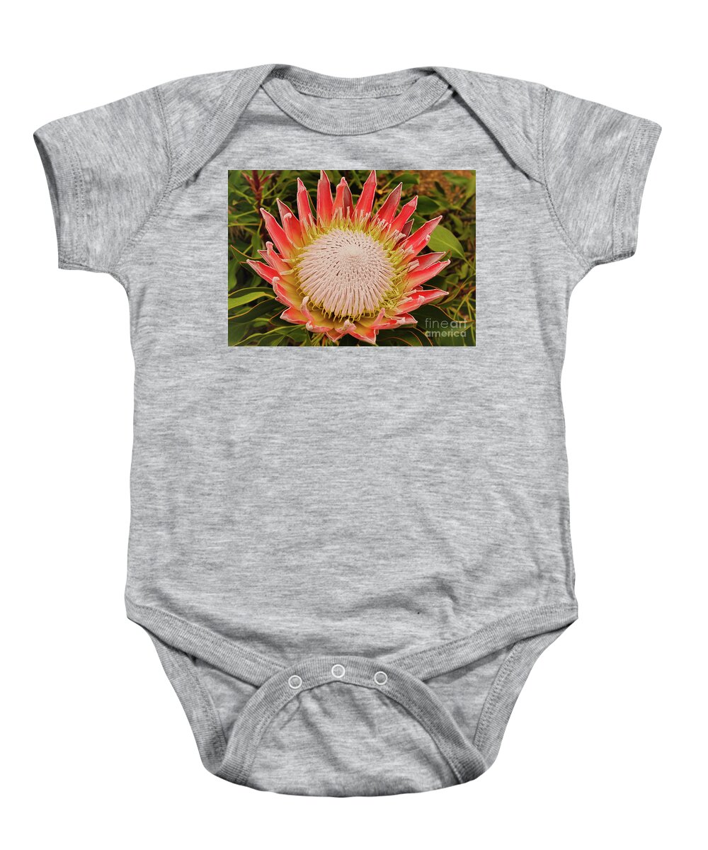 Protea Baby Onesie featuring the photograph Protea I by Cassandra Buckley