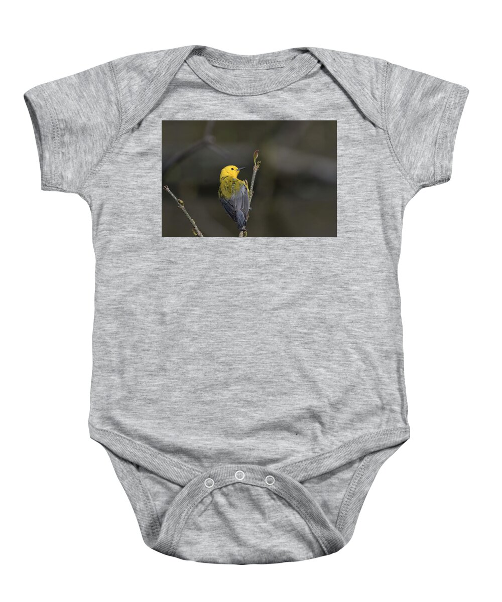 Canada Baby Onesie featuring the photograph Prothonotary Warbler 6 by Gary Hall