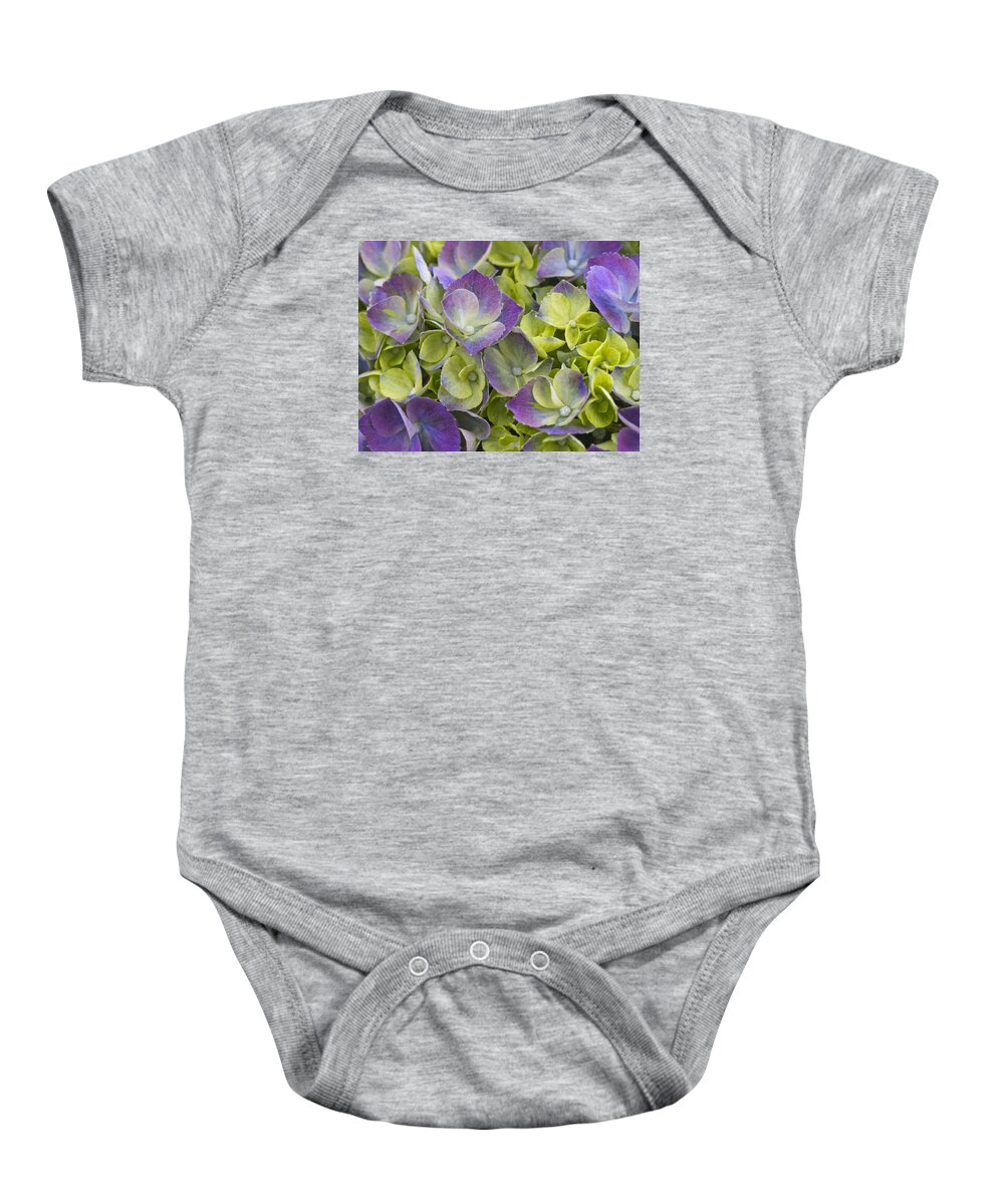Beauty Baby Onesie featuring the photograph Purple and Lime by Eggers Photography