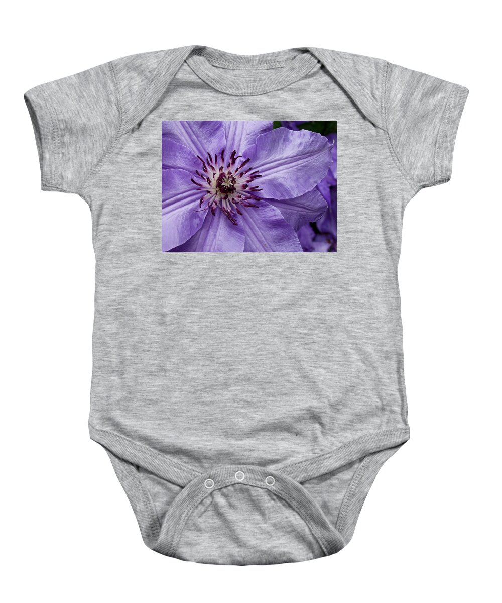 Flowers Baby Onesie featuring the photograph Purple Clematis Blossom by Louis Dallara