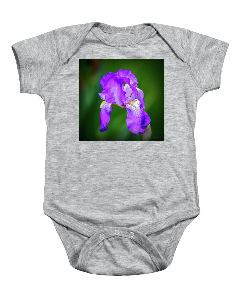 2d Baby Onesie featuring the photograph Purple Majesty by Brian Wallace