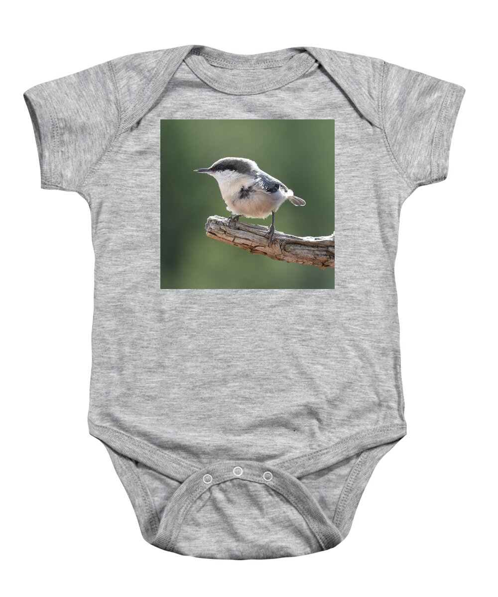 Nuthatch Baby Onesie featuring the photograph Pygmy Nuthatch by Ben Foster