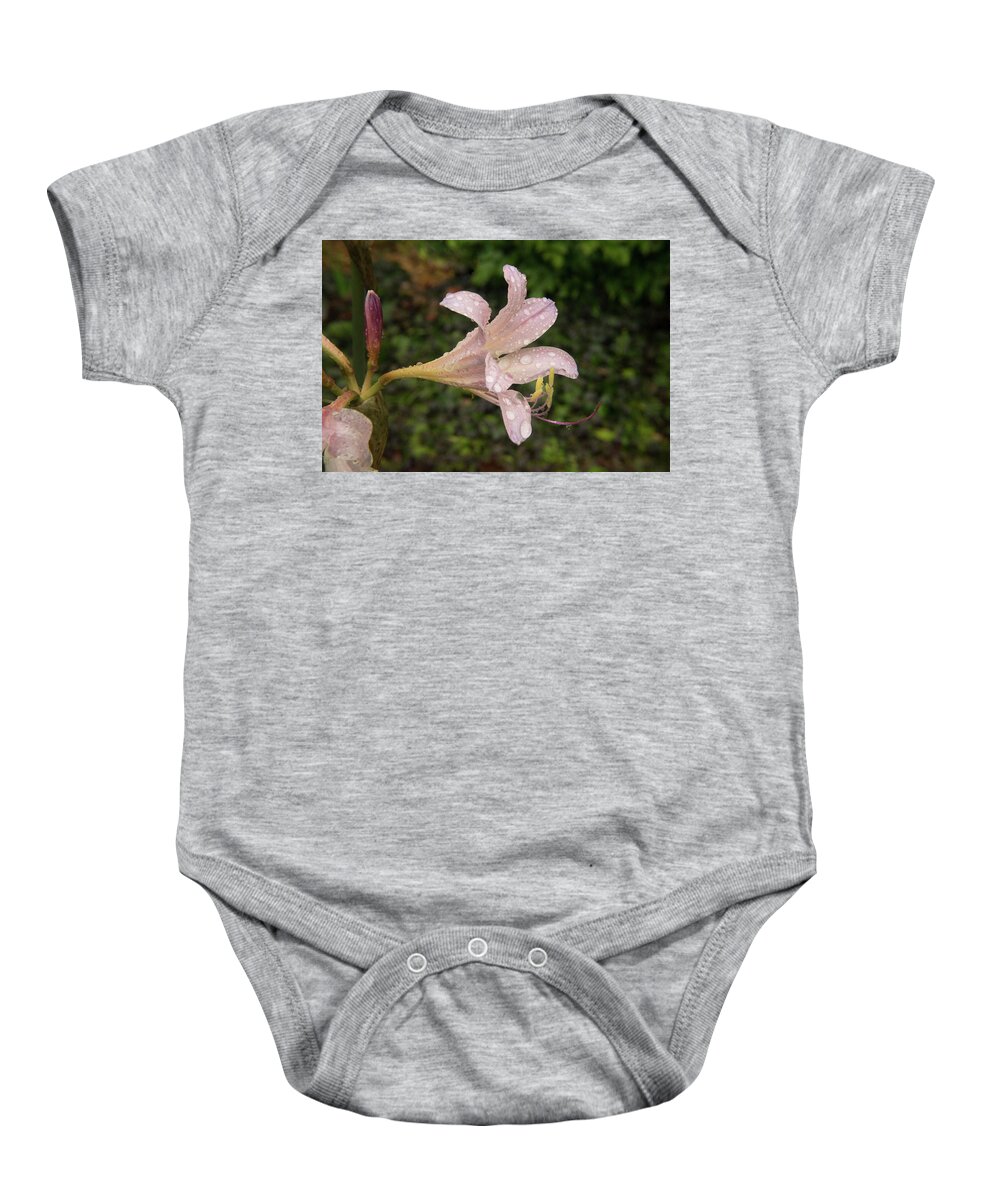 Surprise Baby Onesie featuring the photograph Raindrops on Surprise Lily by Douglas Barnett