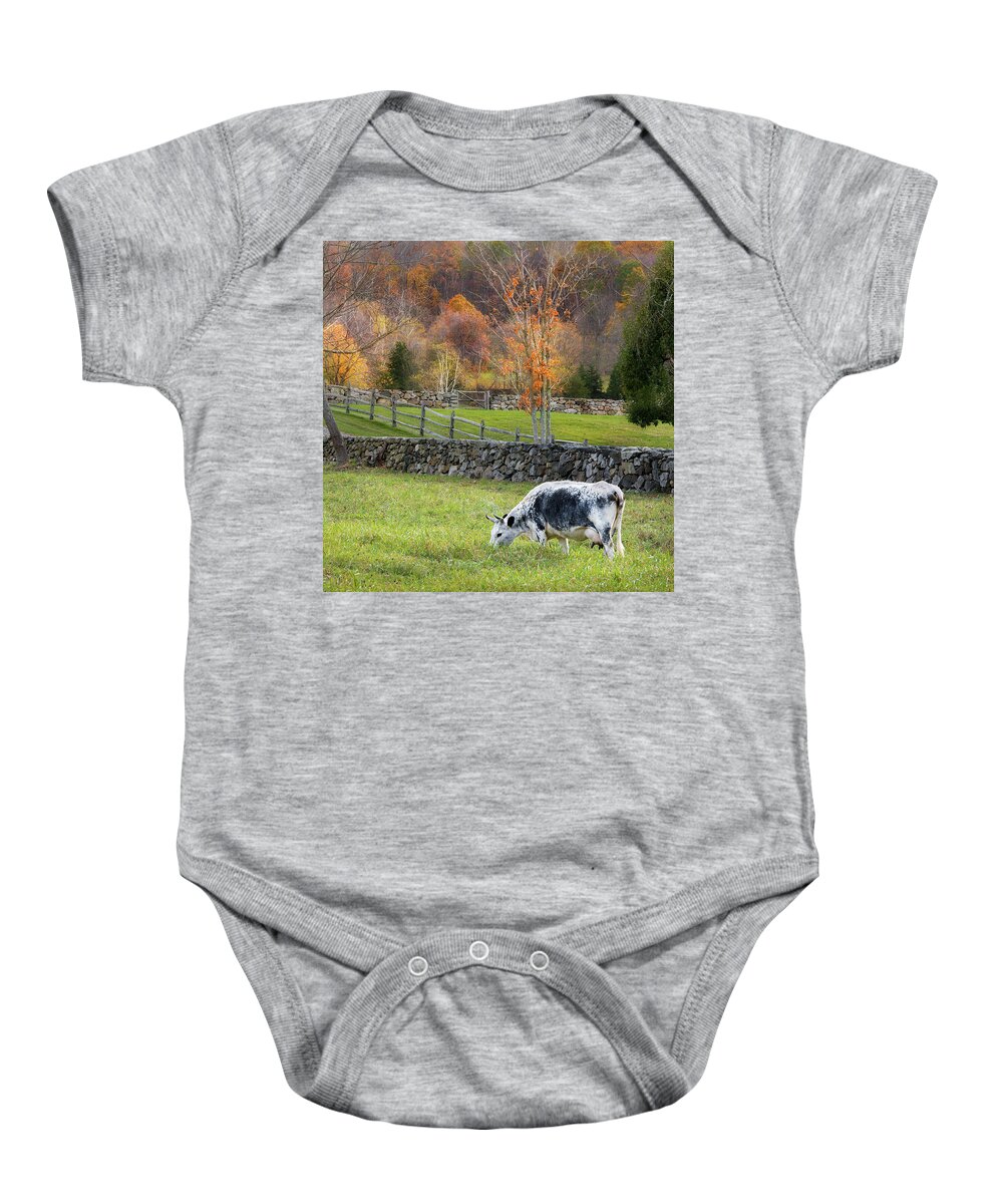 Randall Cattle Baby Onesie featuring the photograph Randall Cattle Cow Square by Bill Wakeley