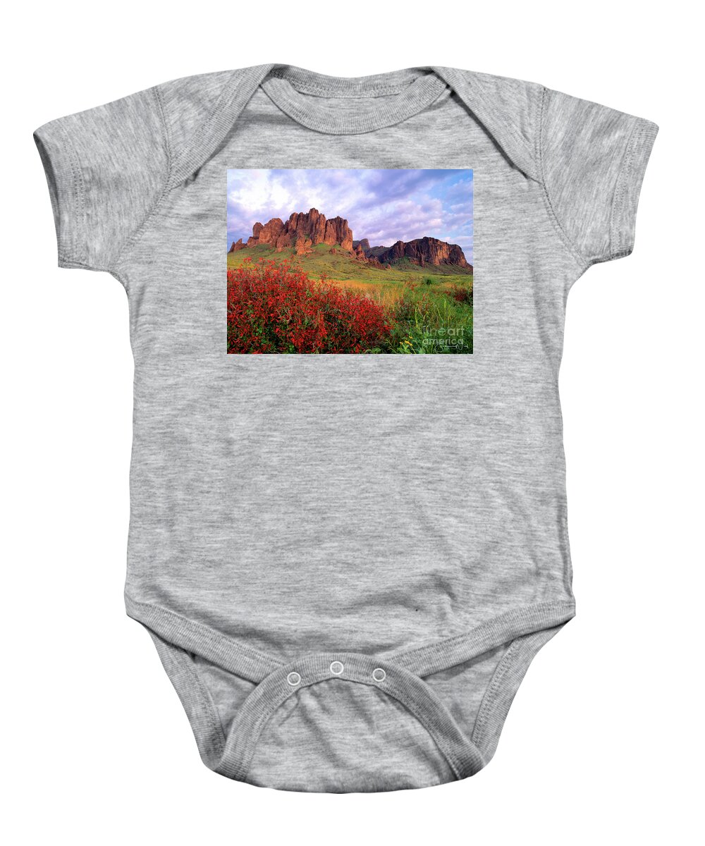 Superstition Mts Baby Onesie featuring the photograph Red Flowers Superstition Mts Lost Dutchman State Park AZ by Joanne West