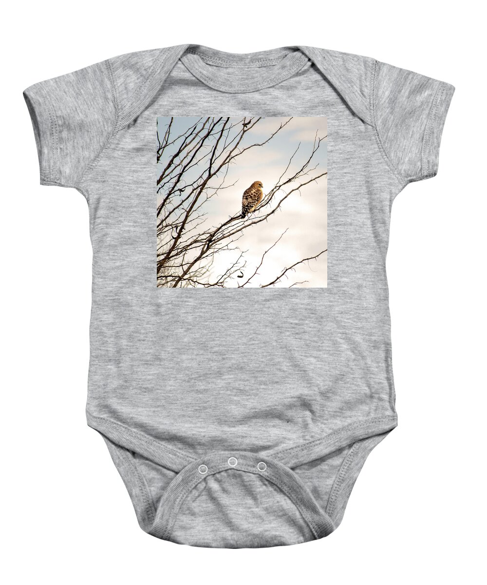Wildlife Baby Onesie featuring the photograph Red-Tailed Hawk by Brad Thornton