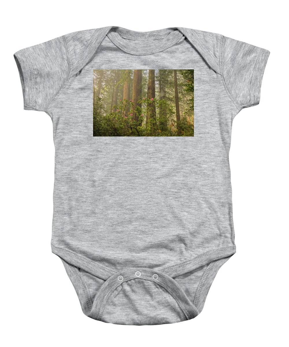 Abundance Baby Onesie featuring the photograph Redwood Magic by Eggers Photography