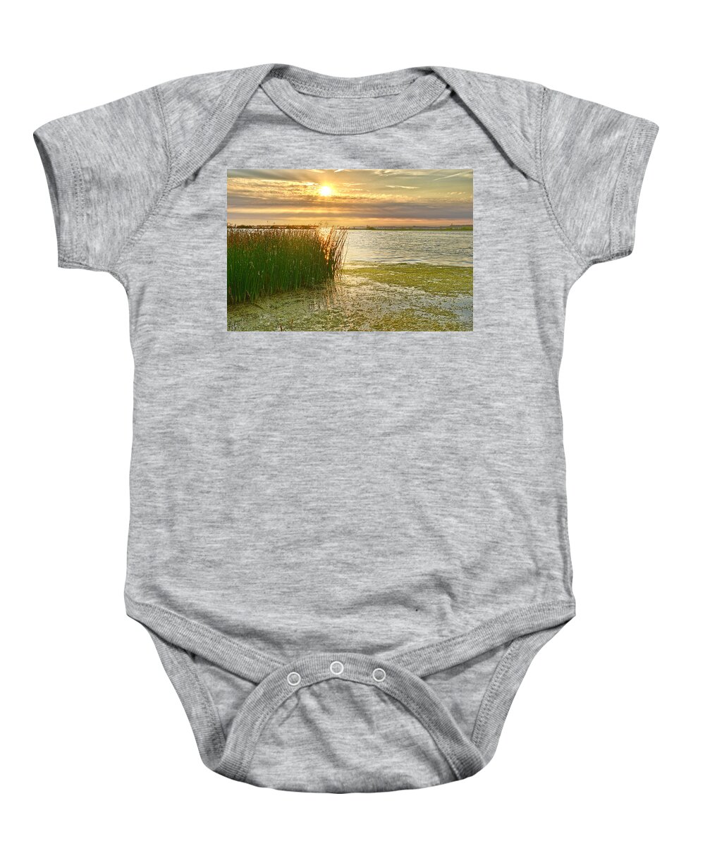 Reeds Baby Onesie featuring the photograph Reeds in the Sunset by Frans Blok