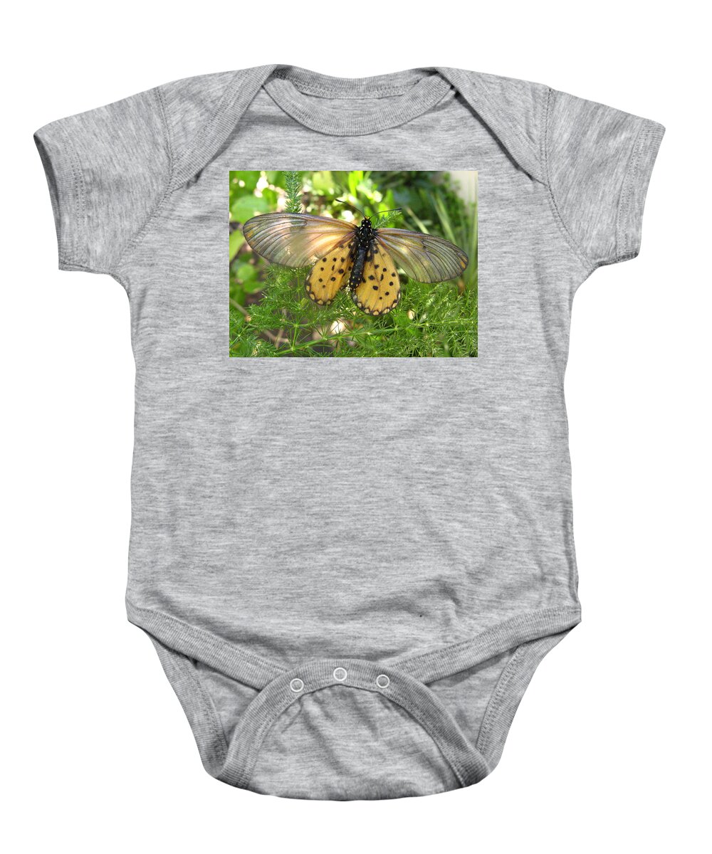 Butterfly Baby Onesie featuring the digital art Respite in paradise by Vincent Franco
