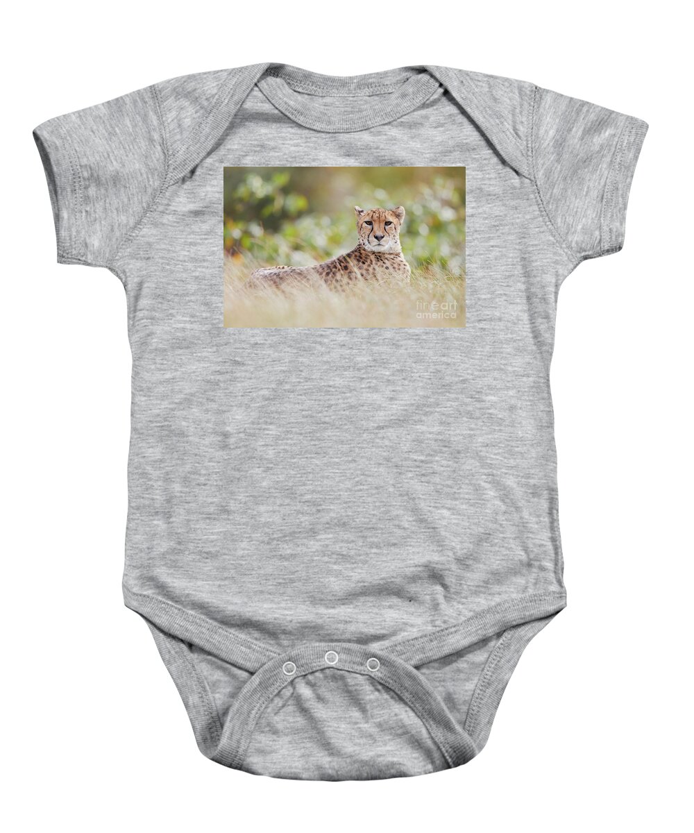 Africa Baby Onesie featuring the photograph Resting Cheetah by Nick Biemans