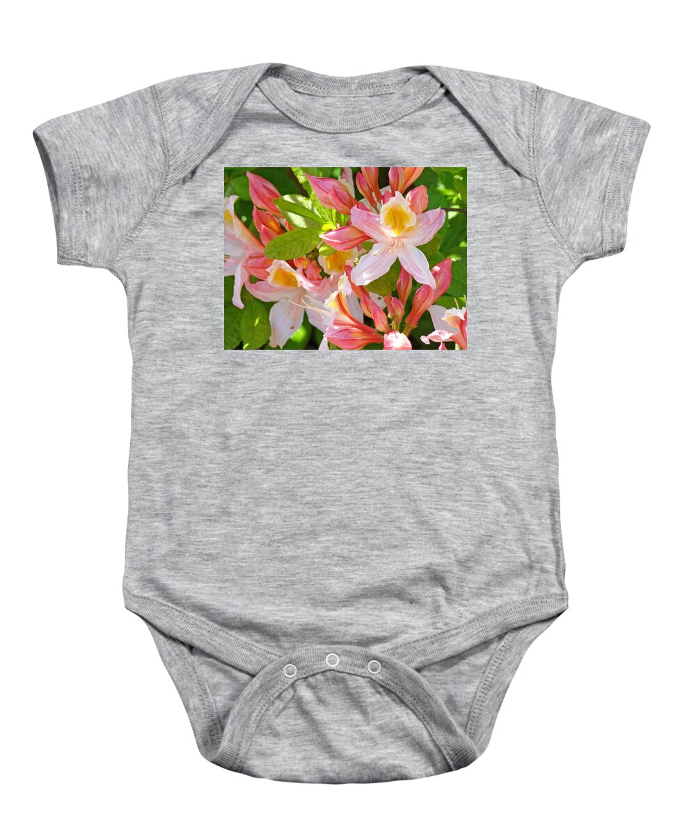 Rhodies Baby Onesie featuring the photograph Rhododendrons Garden Floral art print Pink Rhodies by Patti Baslee