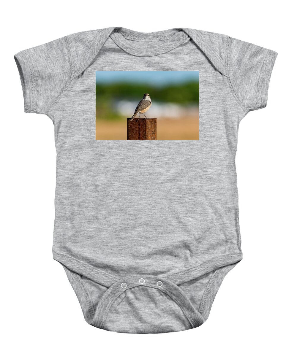Rock Baby Onesie featuring the photograph Rock Wren 1 by Douglas Killourie